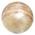 Bolas CAPIZ Decoración Beige Marrón 10 x 10 x 10 cm (8 Unidades)